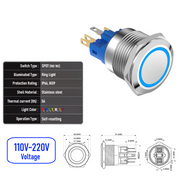 Blue 110V-220V  Momentary  SPDT
