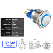 Blue 110V-220V  Momentary  SPDT