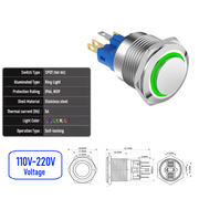 Green 110V-220V  Maintained  SPDT