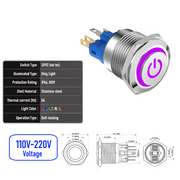 Purple 110V-220V  Maintained  SPDT