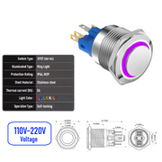 Purple 110V-220V  Maintained  SPDT