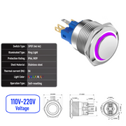 Purple 110V-220V  Momentary  SPDT