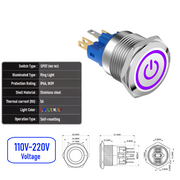 Purple 110V-220V  Momentary  SPDT