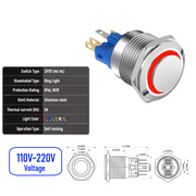 Red 110V-220V  Maintained  SPDT