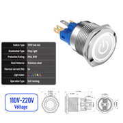 White 110V-220V  Maintained  SPDT