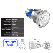 White 110V-220V  Momentary  SPDT