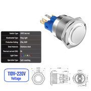 White 110V-220V  Momentary  SPDT