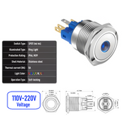 Blue 110V-220V  Maintained  SPDT