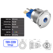 Blue 110V-220V  Momentary  SPDT