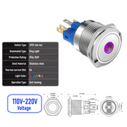 Purple 110V-220V  Maintained  SPDT