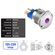 Purple 110V-220V  Momentary  SPDT