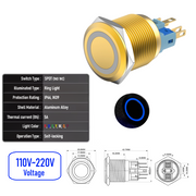 Blue 110V-220V  Maintained Y SPDT