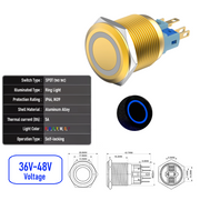 Blue 36V-48V  Maintained Y  SPDT