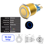 Blue 9V-24V  Momentary  Y SPDT