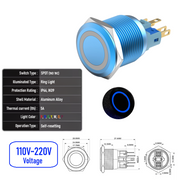 Blue 110V-220V  Momentary B SPDT