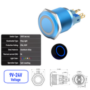 Blue 9V-24V  Momentary B SPDT