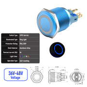 Blue 36V-48V  Momentary B SPDT