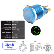 Green 36V-48V  Momentary B  SPDT