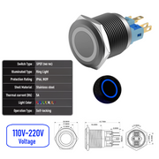 Blue 110V-220V  Maintained B  SPDT