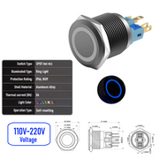 Blue 110V-220V  Momentary B SPDT