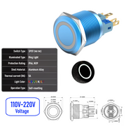 White 110V-220V  Momentary B  SPDT