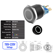 White 110V-220V  Momentary B  SPDT