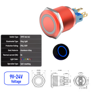 Blue 9V-24V  Momentary  R SPDT