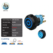 Blue DPDT Maintained