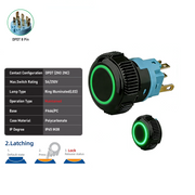 Green DPDT Maintained