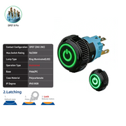 Green DPDT Maintained