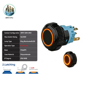 Orange DPDT Maintained