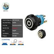 White DPDT Maintained