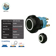 White DPDT Maintained