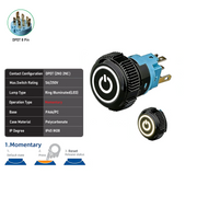 White DPDT Momentary