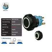 White DPDT Momentary