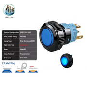 Blue DPDT Maintained