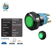 Green DPDT Maintained