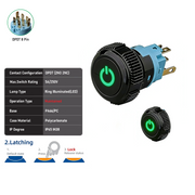 Green DPDT Maintained