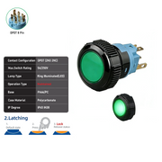 Green DPDT Maintained