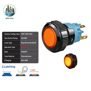 Orange DPDT Maintained