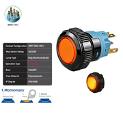 Orange DPDT Momentary