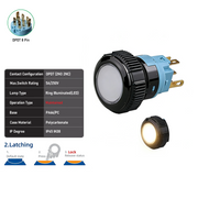 White DPDT Maintained