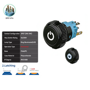 White DPDT Maintained