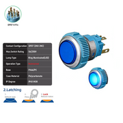 Blue DPDT Maintained