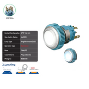 White SPDT Maintained