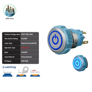 Blue DPDT Maintained