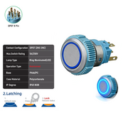 Blue DPDT Maintained