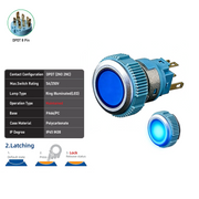 Blue DPDT Maintained