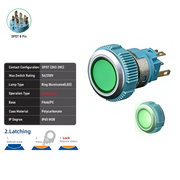 Green DPDT Maintained