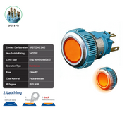 Orange DPDT Maintained